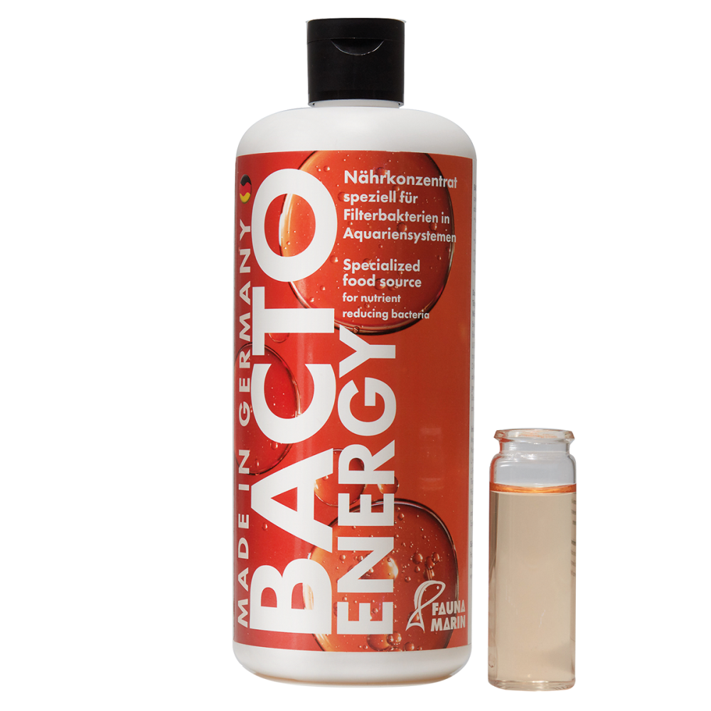 Bacto Energy 500ml