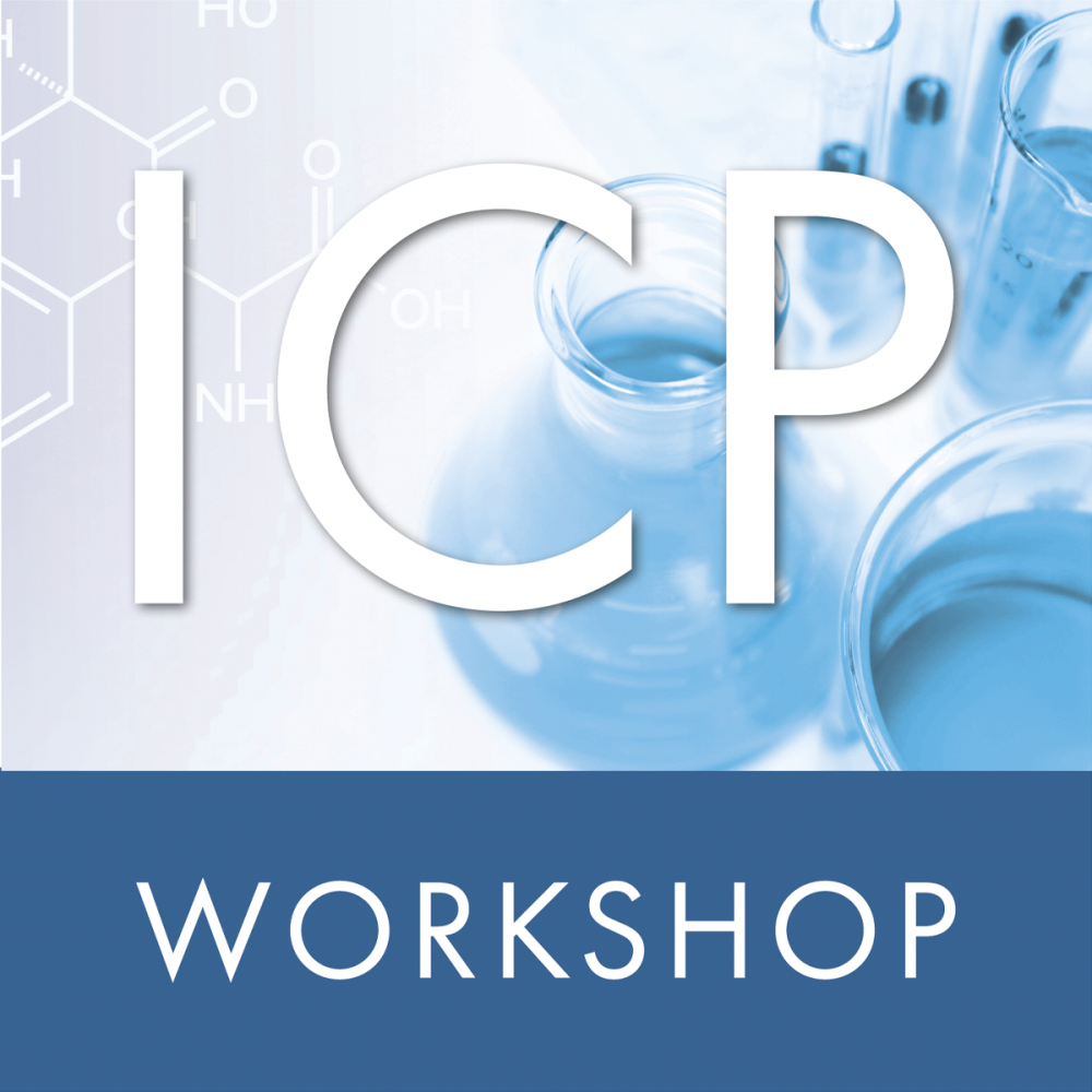 ICP - Workshop 16.11.2024