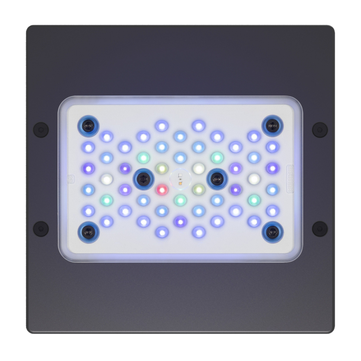 Ecotech Marine Radion® XR15 G5 Blue Ecotech Marine Radion® XR15 G5 Blue