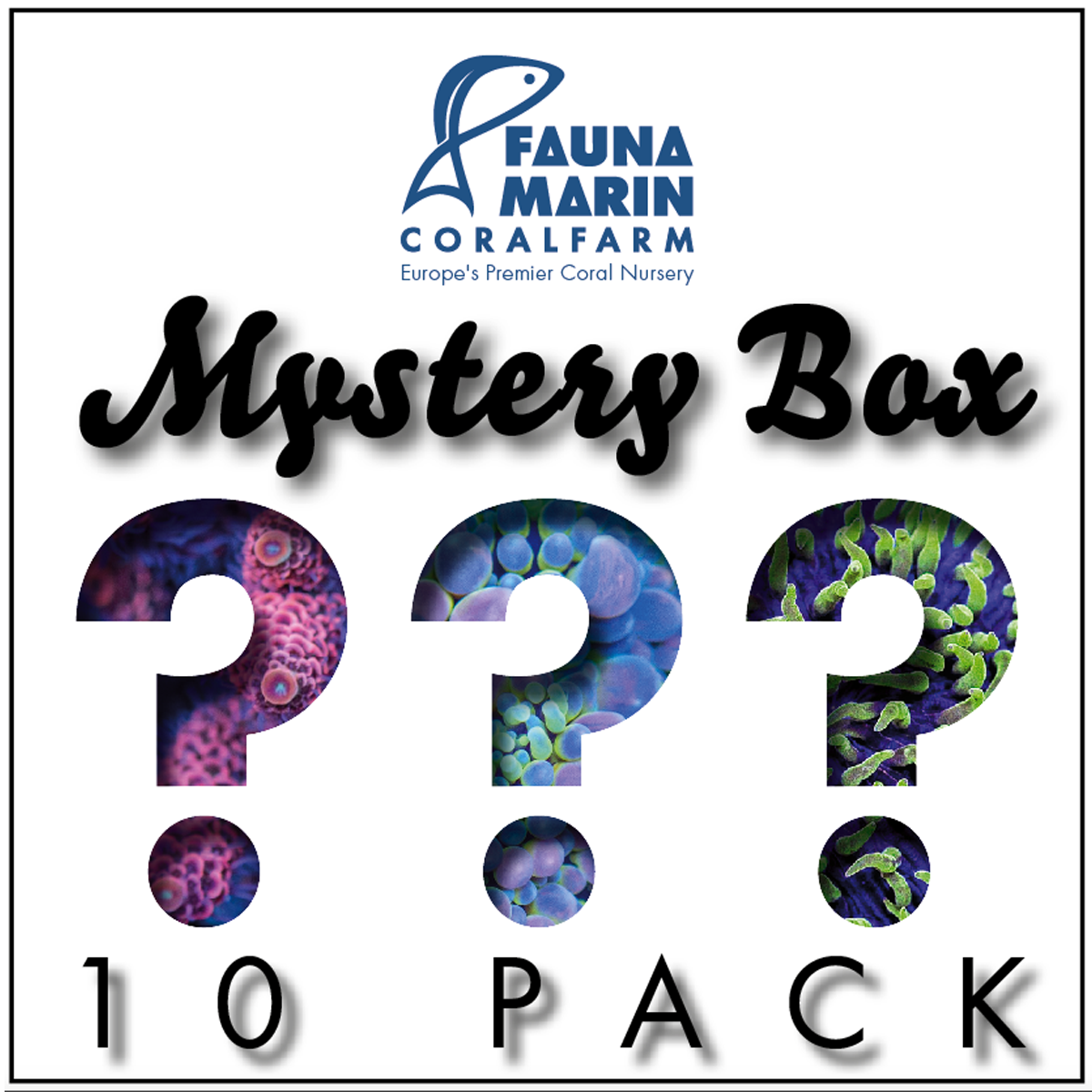 FMC Mystery Box