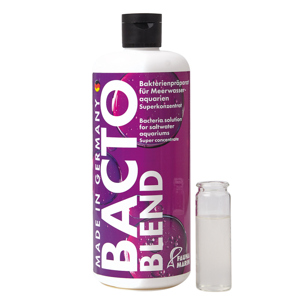 Bacto Blend 500ml