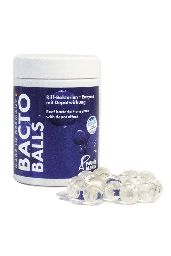 Bacto Balls 100ml