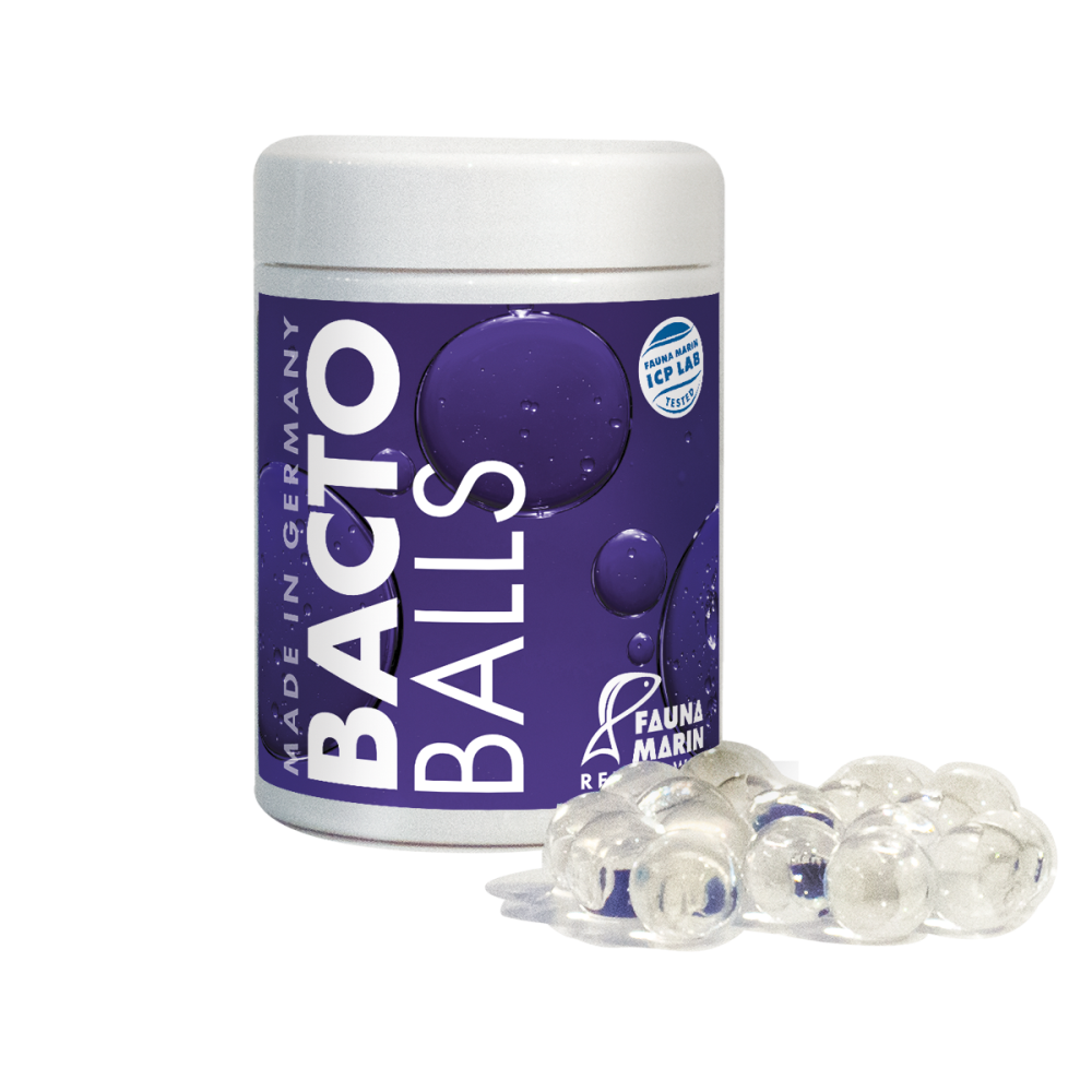 Bacto Balls 100ml