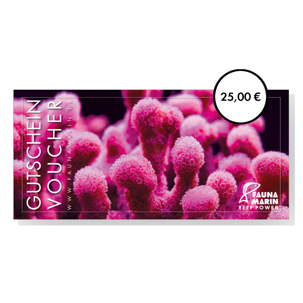 Voucher - Pink 25 EUR